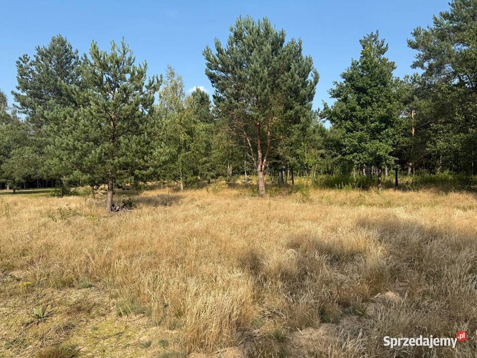 Działka z dostępem do jeziora Sumino Gorzewo