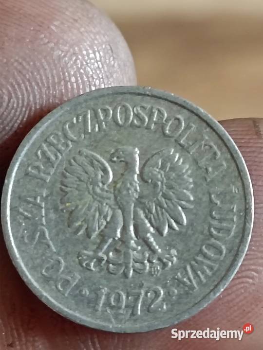 sprzedam 10 gr 1972 zzm Chełm