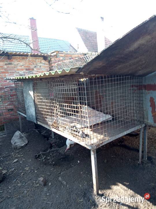 Sprzedam klatki Brennik