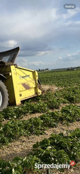 Ścielarka Września