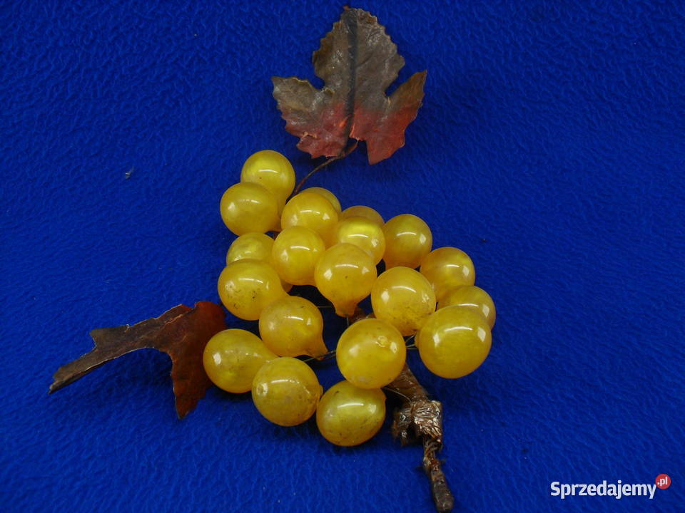 Winogrona dekoracyjne Bielawa sprzedam