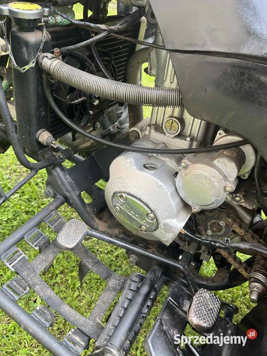 Quad ATV 250cc chłodzony cieczą 100 sprawny Rok produkcji 2020 lubelskie Chełm sprzedam