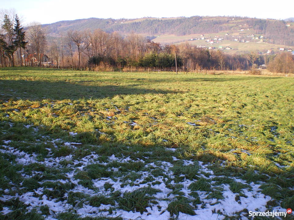 DZIAŁKA 16ar LipoweLIMANOWA Limanowa