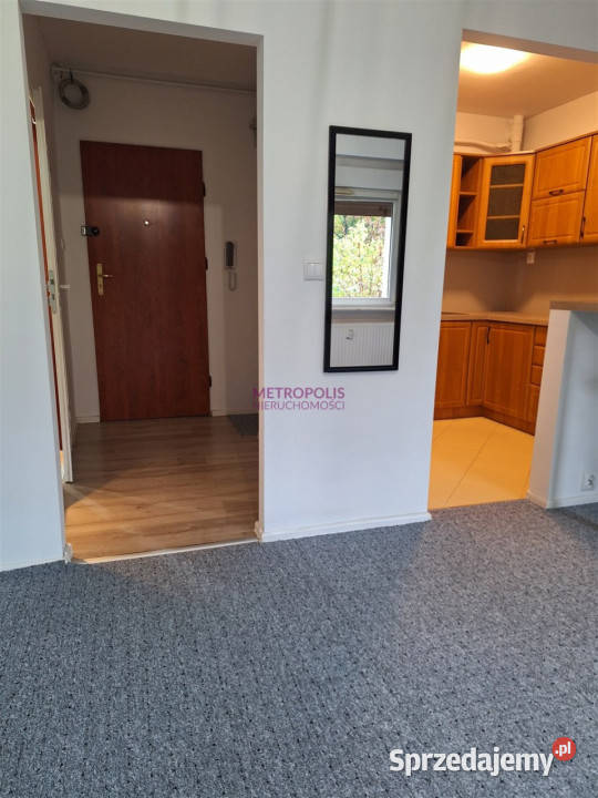 wynajmu mieszkania Rybnik 32m2 1 pokój Wynajem