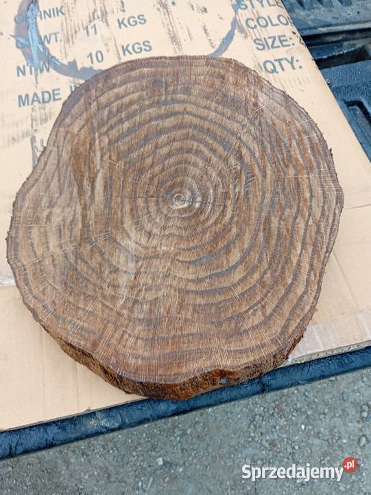 Plaster dębu na stolik kawowy Nowy Sącz sprzedam