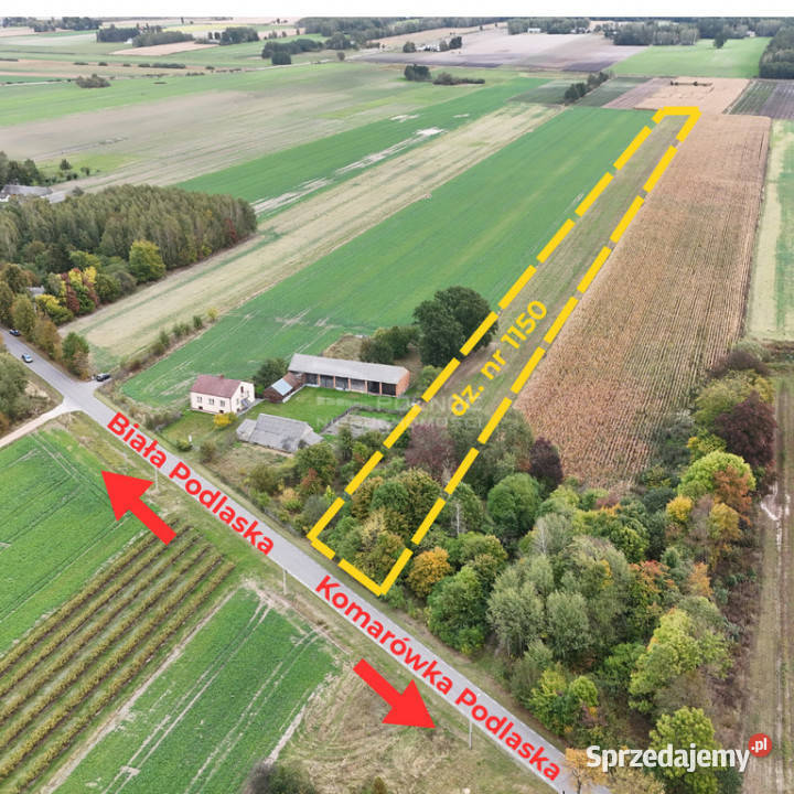 Działka 145ha z możliwością zabudowy Kolembrody