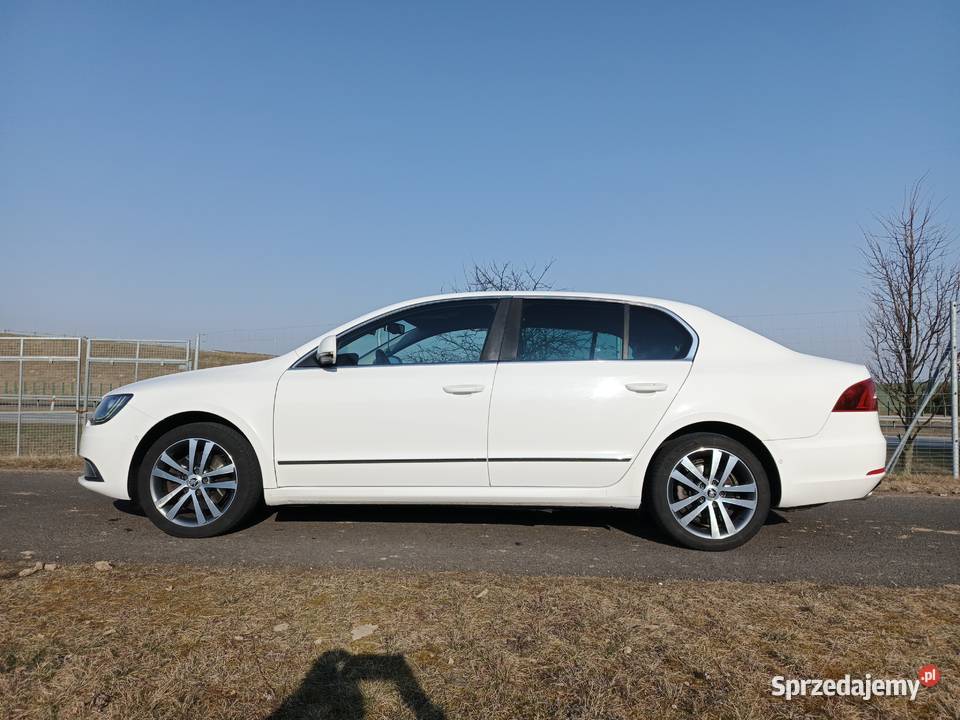 Skoda Superb 2014 20 TDI 170 Sedan / Limuzyna Superb Tczew