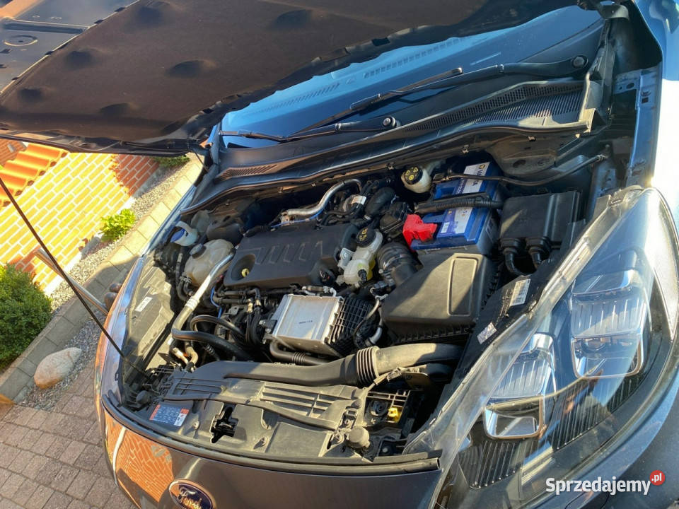 Ford Kuga III 2019 wielkopolskie Sadlno