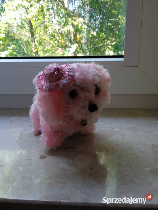 Pieski zabawki Mosty