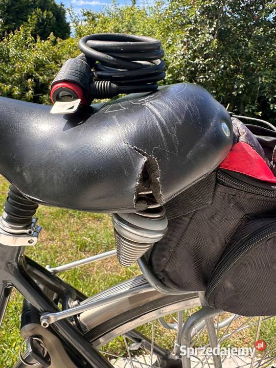 Tesla Koga Miyata rower elektryczny zachodniopomorskie