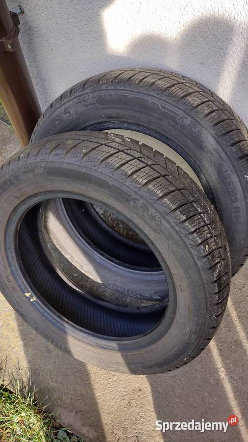 Opony zimowe Barum Polaris 5 1556514 Ryczów