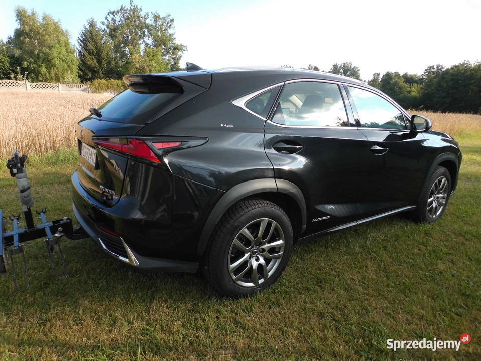 Lexus NX 300h Rok produkcji 2019 Kaźmierz sprzedam