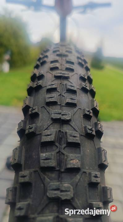 Rower lubelskie Lublin