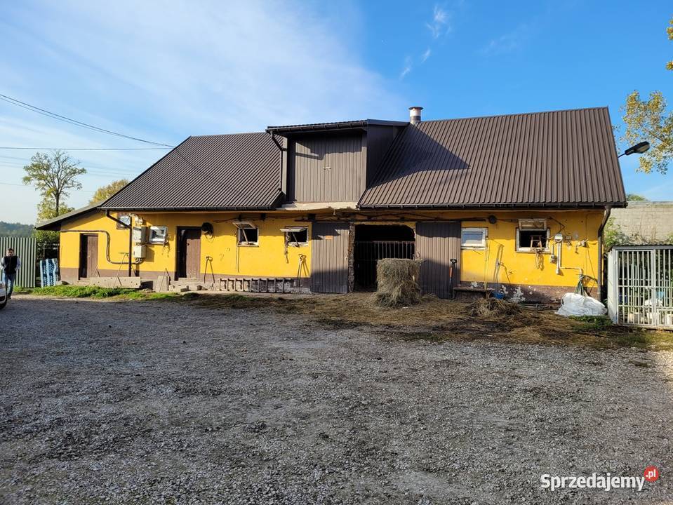 Syndyk sprzeda gospodarstwo rolne i maszyny Raków