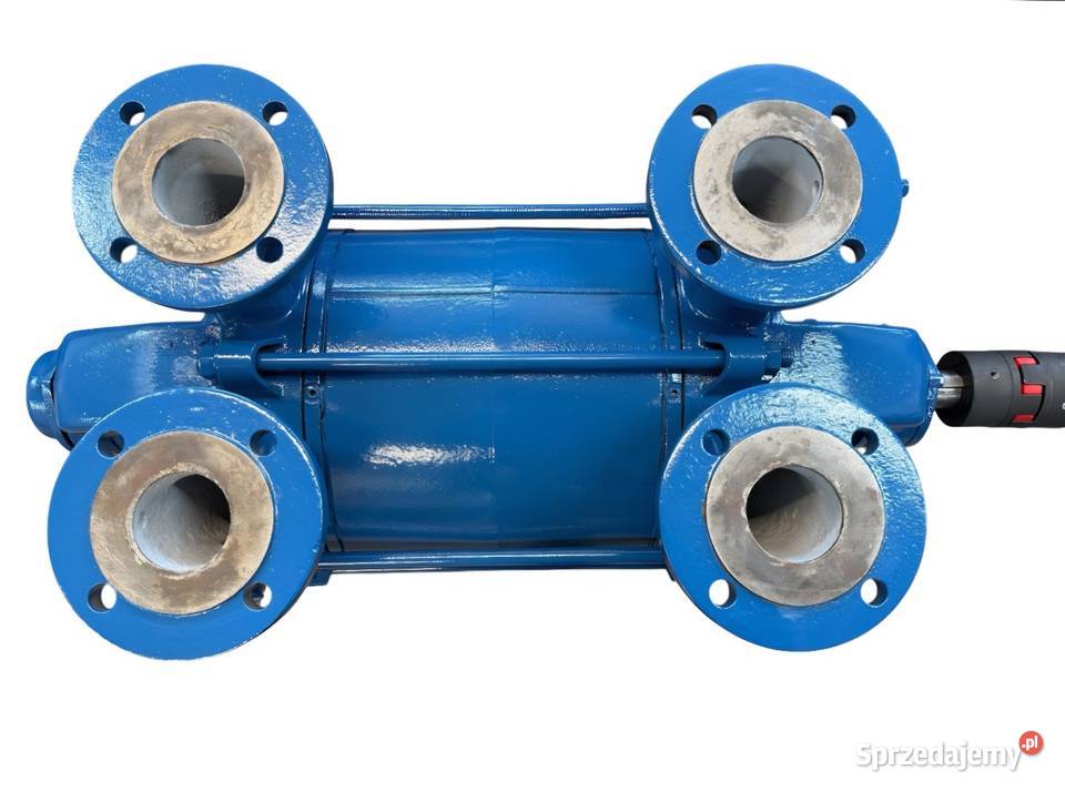 Pompa próżniowa z pierścieniem wodnym ROBUSCHI Pozostałe Pleszew