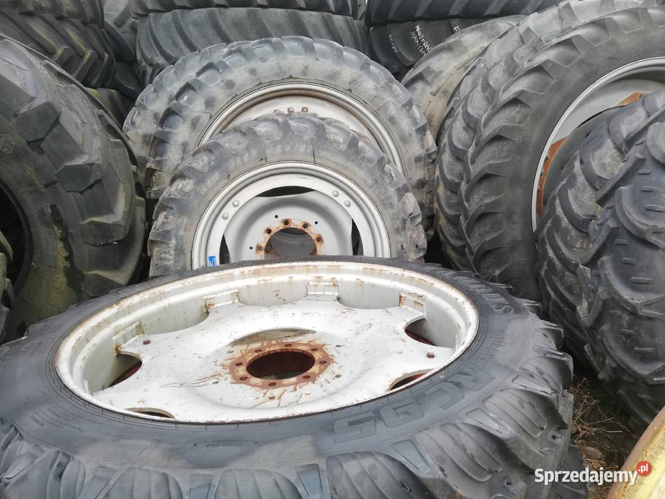 Koła wąskie Holland Holland koła wąskie Osła