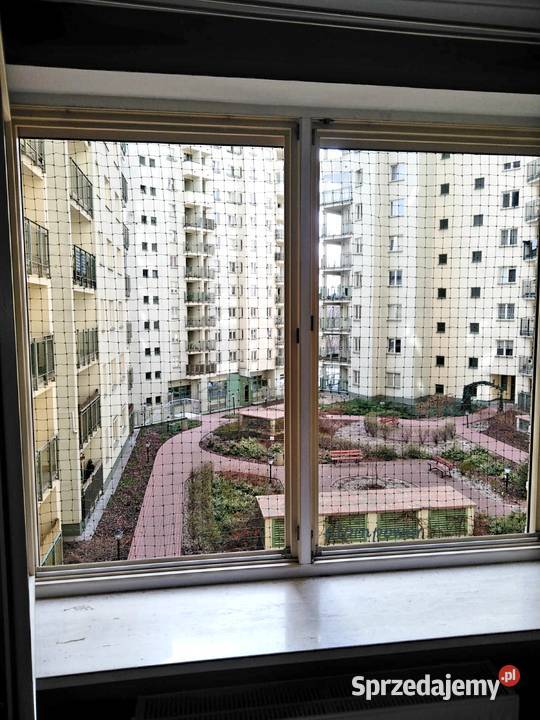 Siatka Kota Na Balkon Okno Taras Montaż Siatek Pozostałe podkarpackie