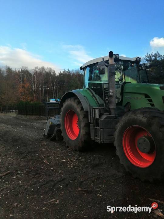 Wycinka drzew Czyszczenie działek Mulczowanie Bielsko-Biała