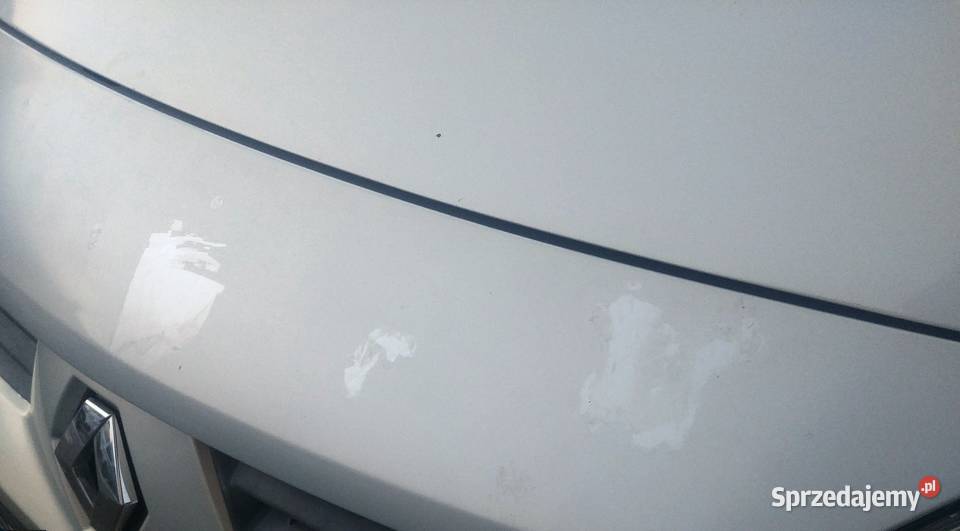 Renault Scenic II 16 2004 Krajewo-Ćwikły