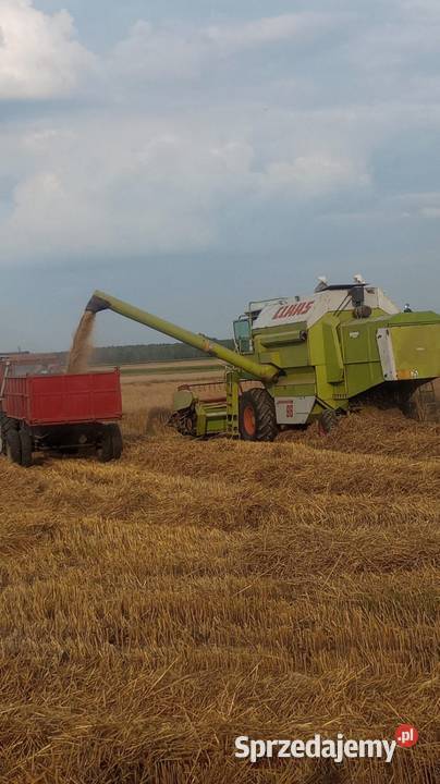 Class dominator 96 heder 45m wózek Claas Zbuczyn