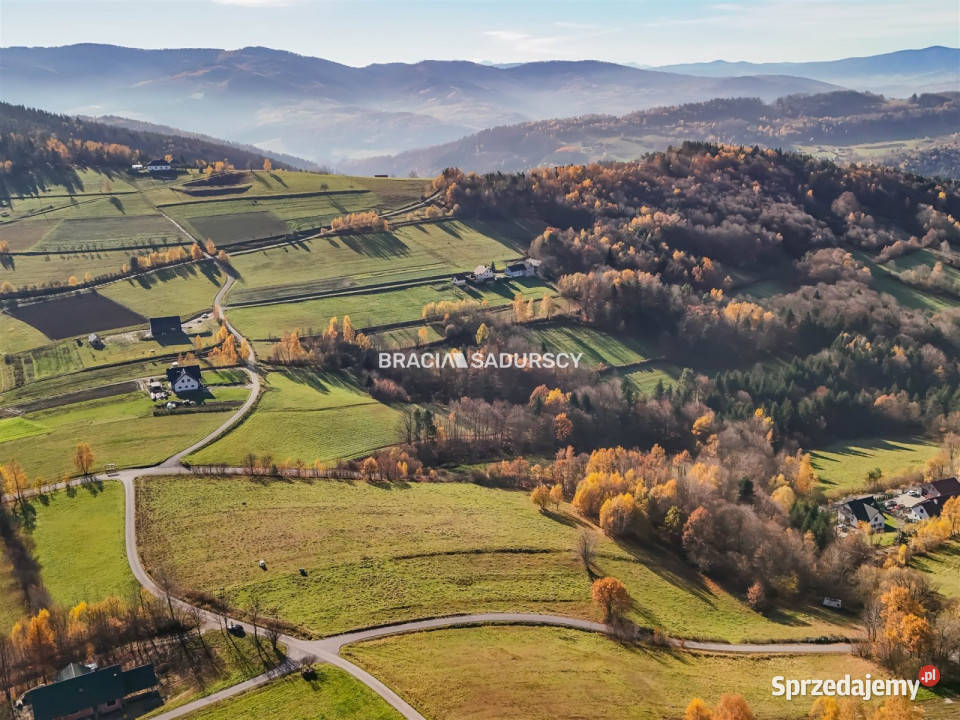 Grunt Kamionka Mała 130000m2 sprzedam