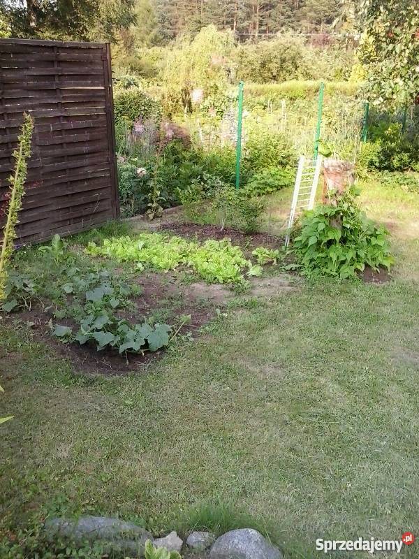 działka ogrodnicza ROD Wójtowa Rola 348m2 Olsztyn