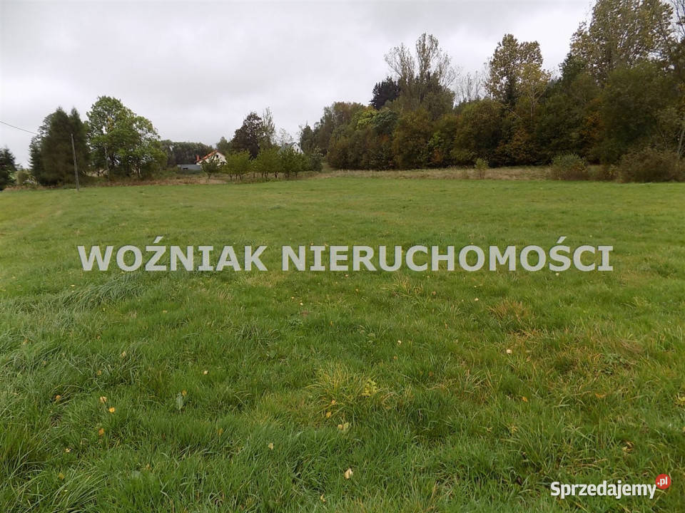 Działka 3000m2 Bartnica sprzedam