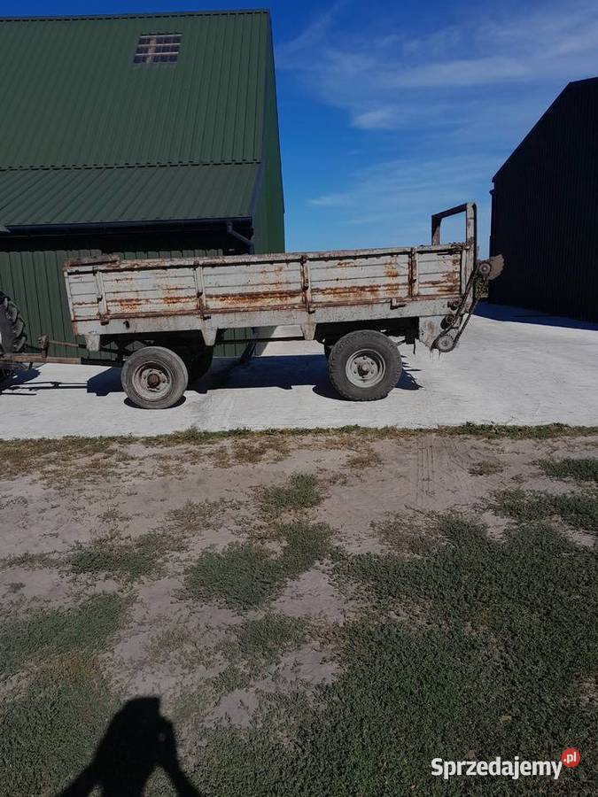 Rozrzutnik nieuszkodzony kujawsko-pomorskie Sędzin