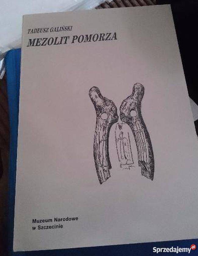 Mezolit Pomorza Galiński Tadeusz Człuchów