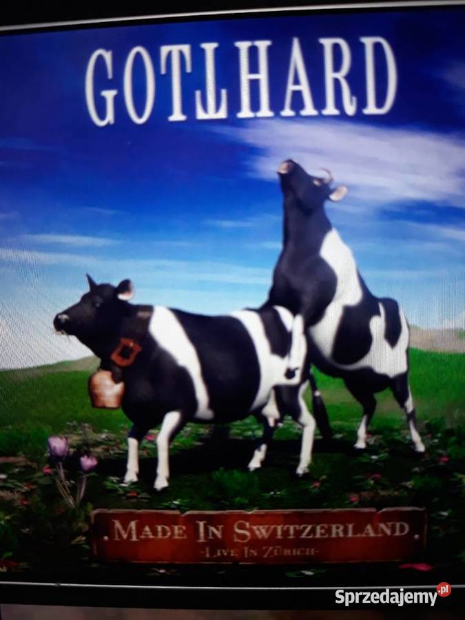 Niezapomniane koncerty GOTTHARD Live in Zurich 2 Rzeszów