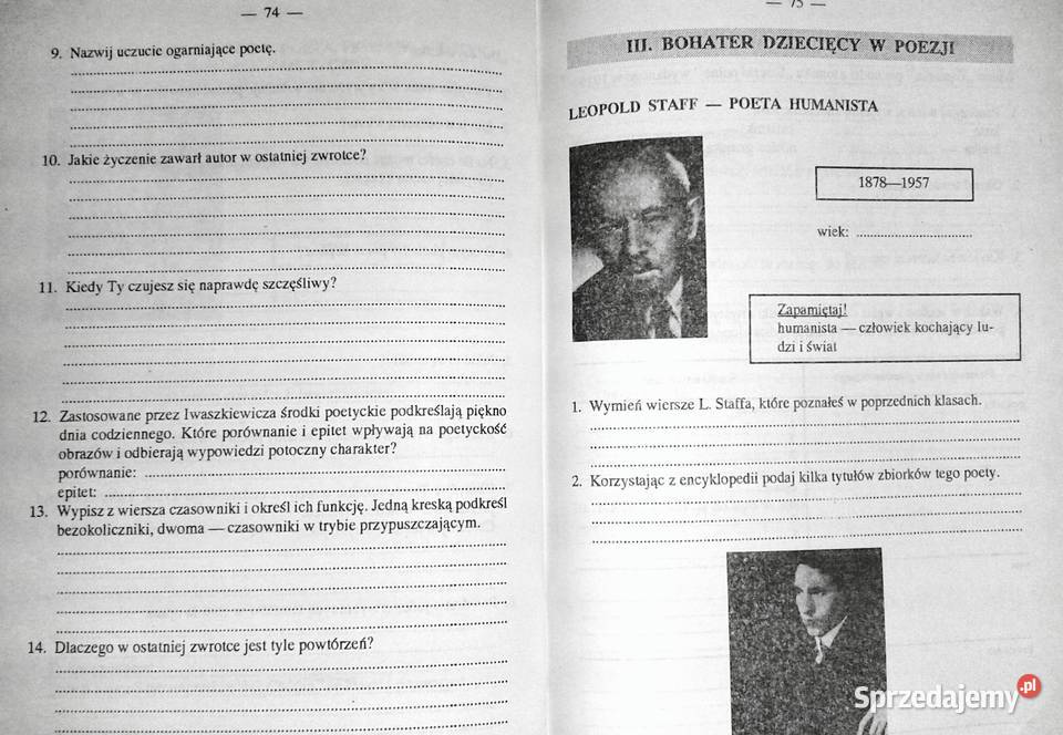 Język polski Zeszyt ćwiczeń kl 6 cz 2 Czesława Chełm