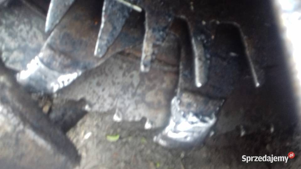 Kemper champion 4500 wielkopolskie