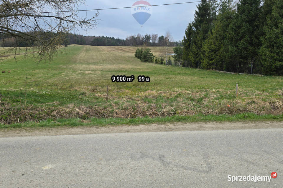 Działka 99a rolbud Smerekowiec Uście Gorlickie