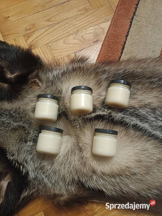 Sadło z borsuka myśliwego Jeżowe