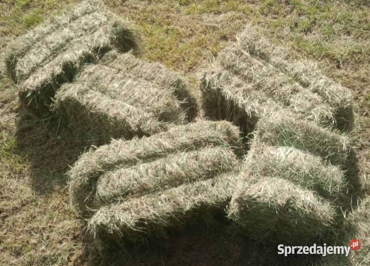 Sprzedam siano w kostce Wolica