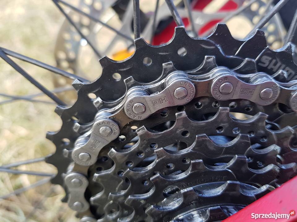 ROWER CLIMBER MTB 29 Nekla