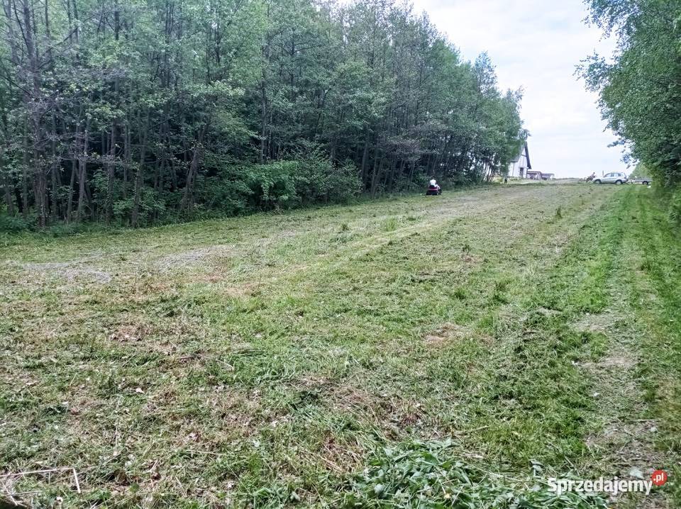 Sprzedam działkę Borki Chechelskie 100zł/m2 Ropczyce sprzedam
