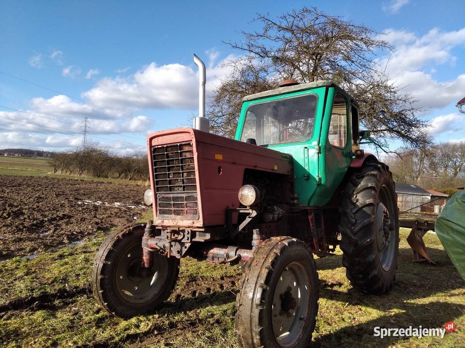 Sprzedam mtz 50 nieuszkodzony Bolesławiec