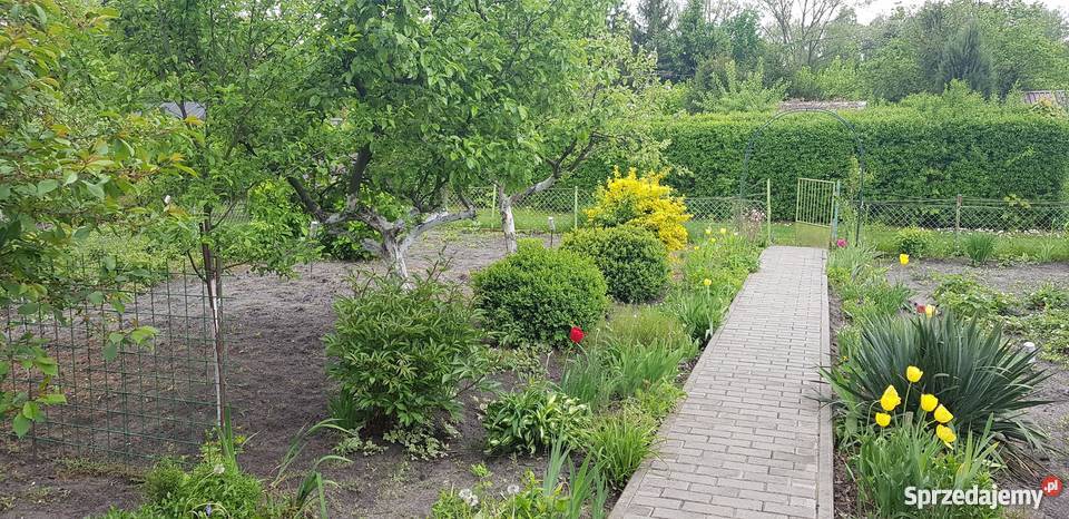 Sprzedam działkę rekreacyjną metalowe Mińsk Mazowiecki