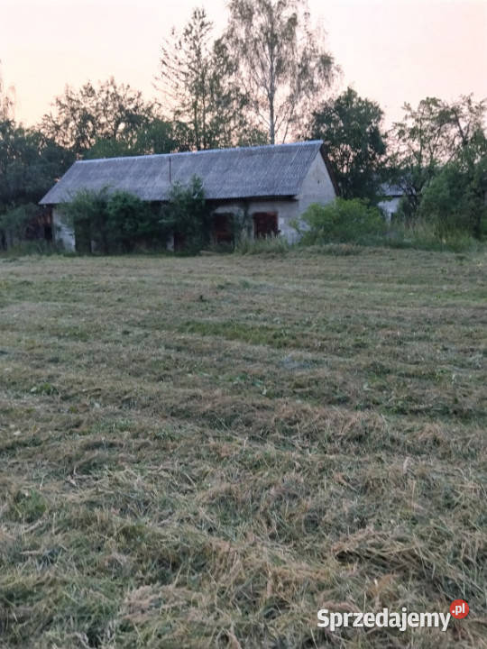 Siedlisko z lasem 403 ha jeziorach 2 działki Bereza sprzedam
