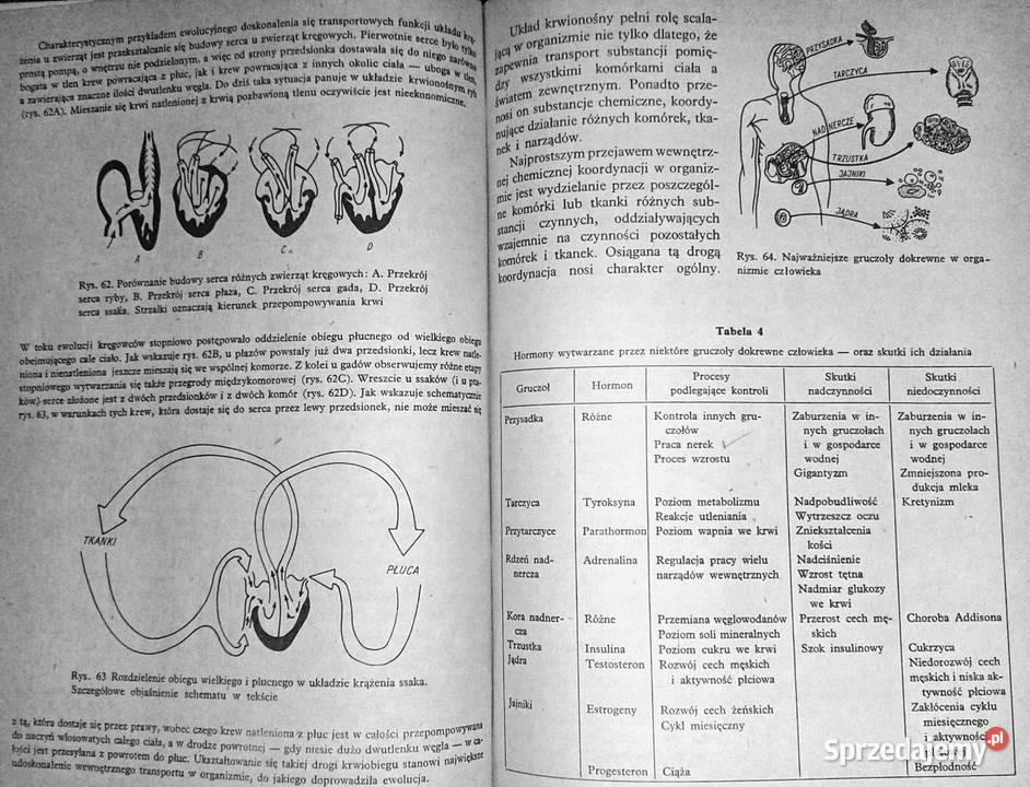 Ogólne zasady biologii Andrzej Grębecki Chełm