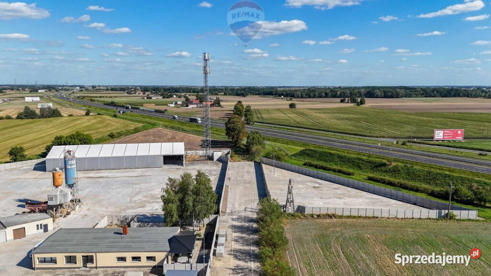 wynajmu Nowy Tomyśl wielkopolskie sprzedam