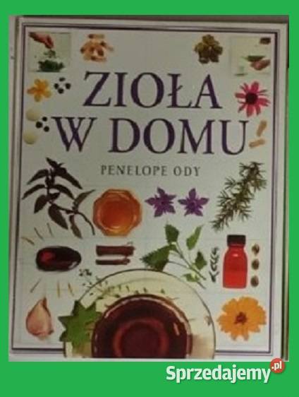 Zioła w domu P Ody zioła ziołolecznictwo rośliny Łódź