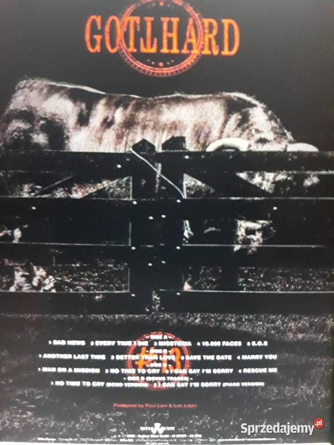Klasyka hard rocka GOTTHARD 13 2 LP sprzedam