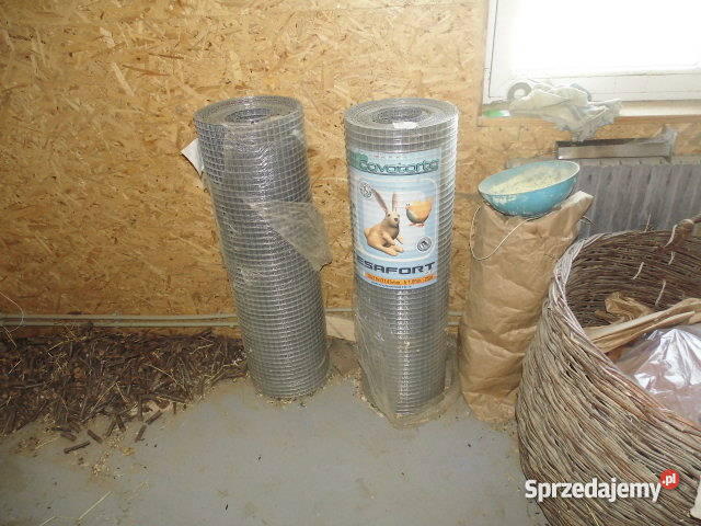 hodowla szynszyli Rożnów