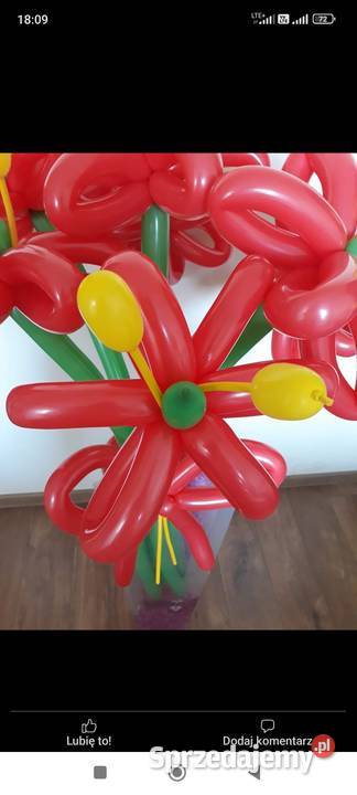 Walentynkowe bukiety balonowe Łódź