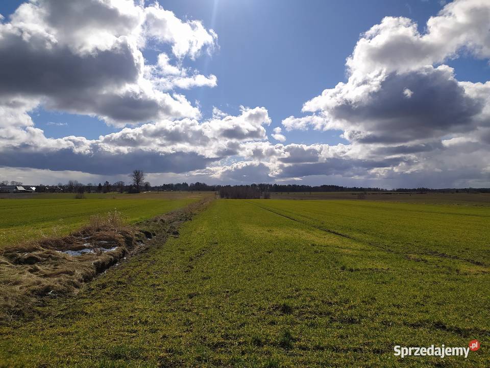 tapeta z Windows XP Kaczkowo