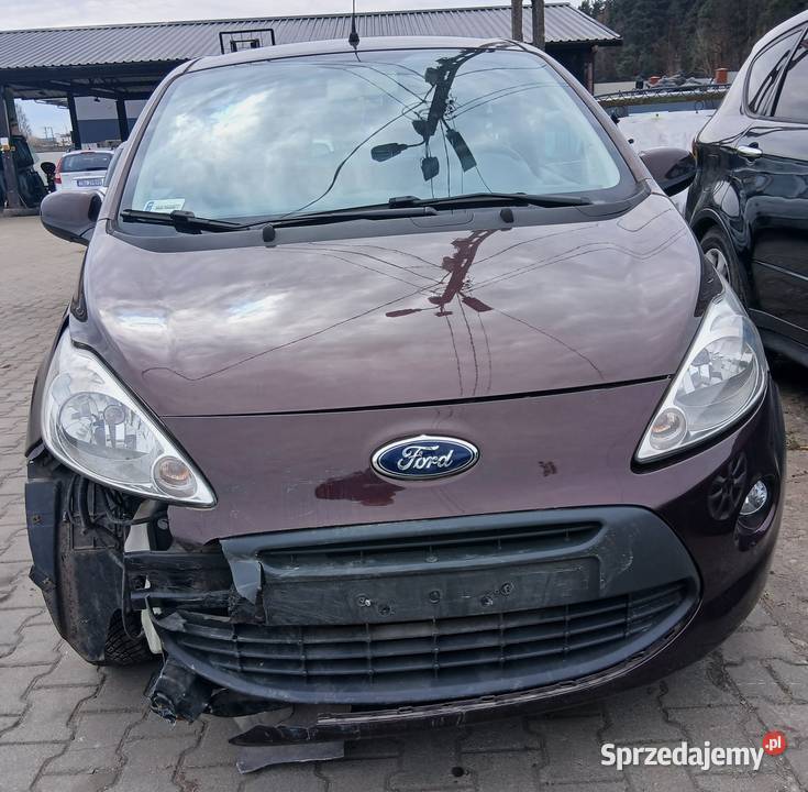 Ford KA z 2014 roku Busko-Zdrój