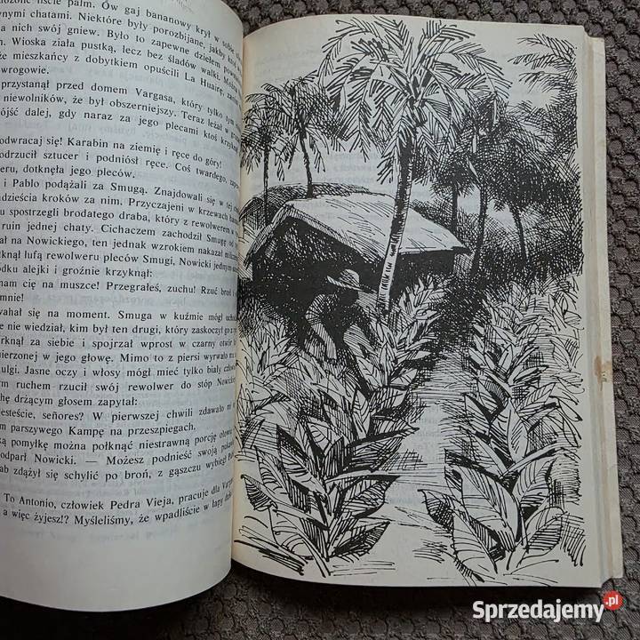 pierwsze wydanie Tomek w Gran Chaco Alfred Beletrystyka, powieści Kraków