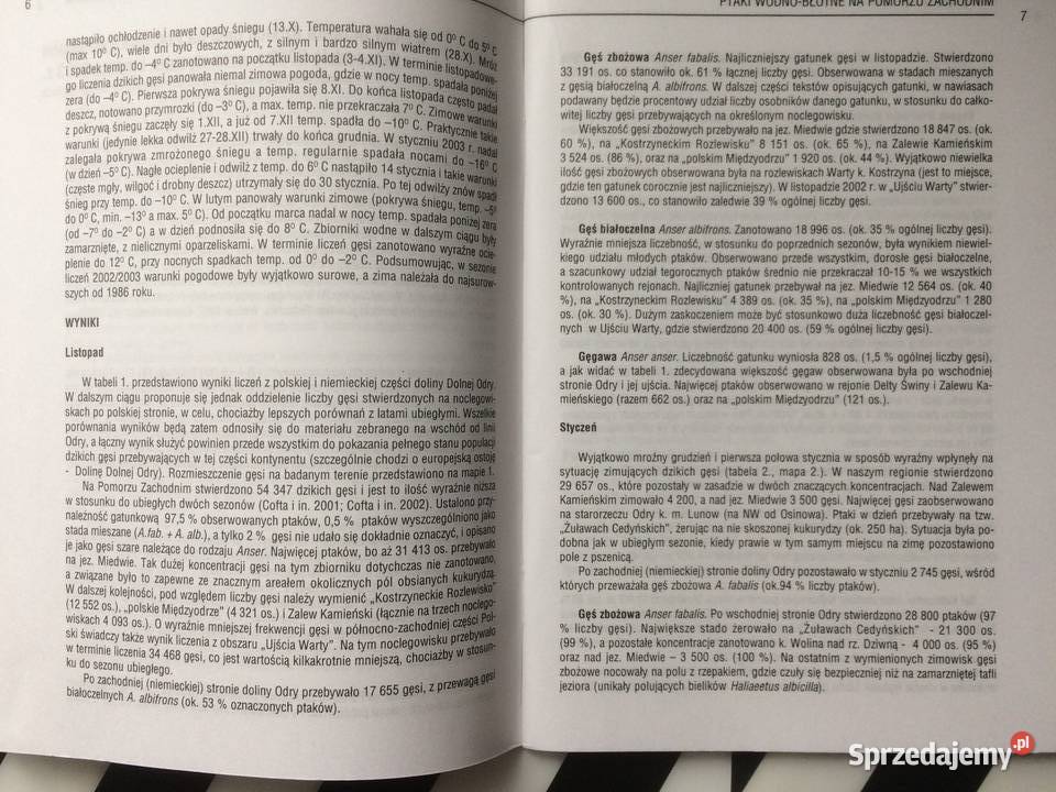 3683 Ptaki WodnoBłotne Na Pomorzu Zachodnim Szczecin